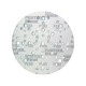 Шліфувальний круг Festool STF D150/48 P180 GR / 1 шт. Granat (575166-1)